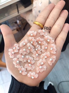 Hoa bột- cúc ruby - hoa đính móng