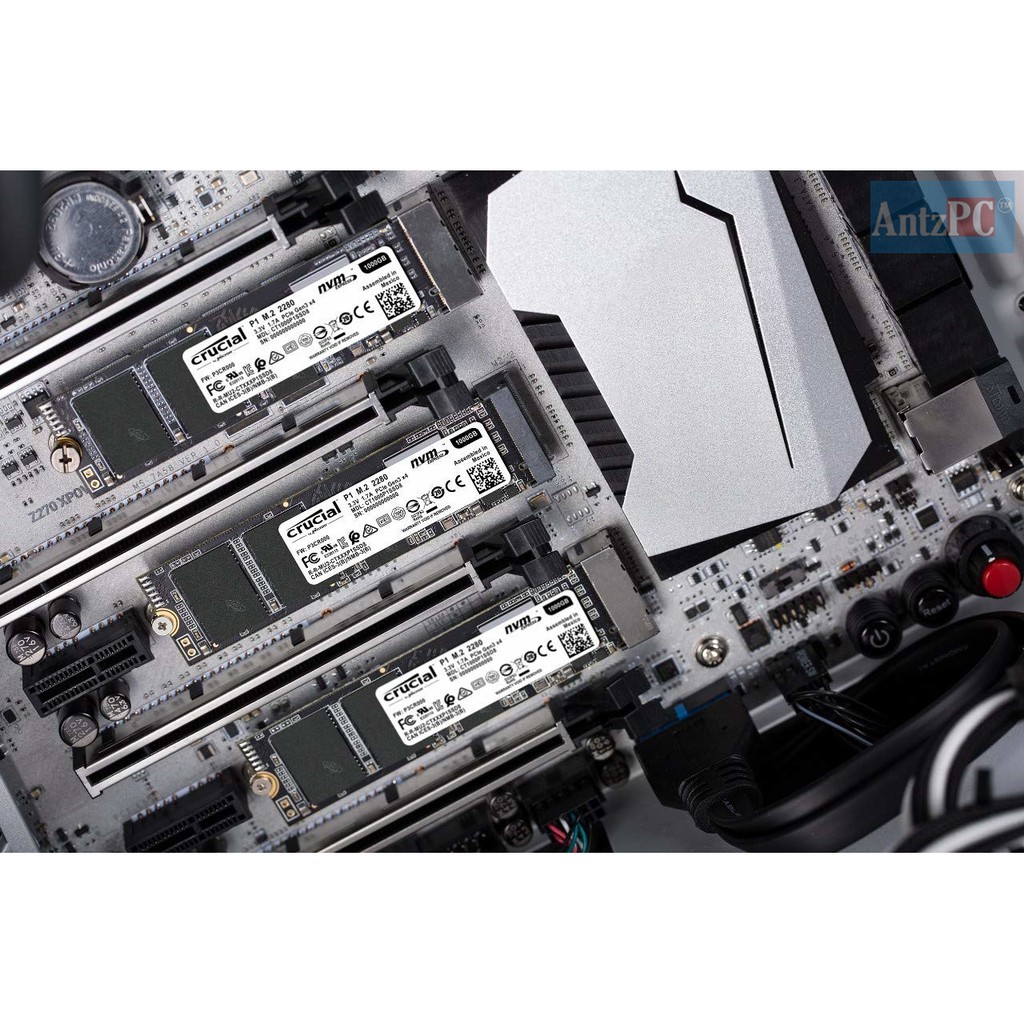 Ổ cứng SSD Crucial P1 500GB 1TB M.2 2280 NVMe [US] - BH 36 Tháng | BigBuy360 - bigbuy360.vn