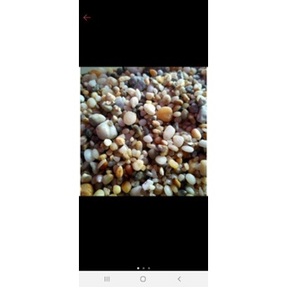 sỏi 3 màu trang trí bể cá