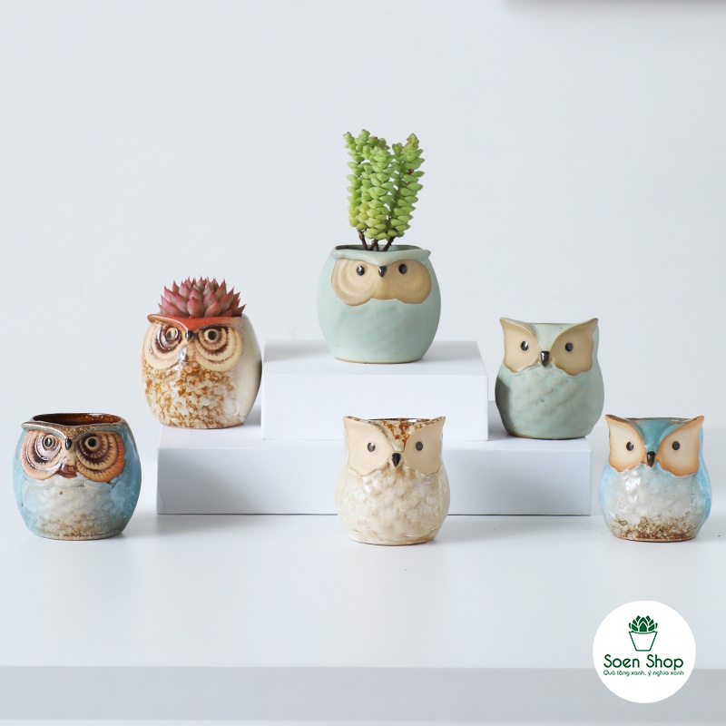 SIÊU RẺ - Chậu cây hình Cú Mèo Mini Siêu xinh - Chậu trồng sen đá, xường rồng, cẩm nhung để bàn - soen shop