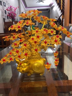 Combo 5 bộ heo tài lộc