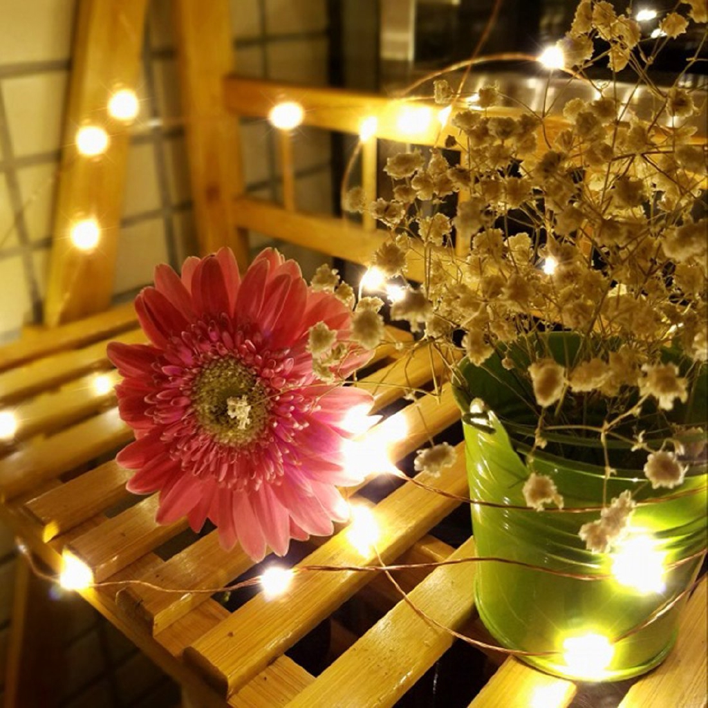 Dây đèn led 100 bóng dài 10m 8 chế độ sáng dùng trang trí độc đáo