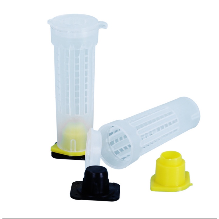 JETTING Set 10 lồng nuôi tách biệt ong chúa chuyên dụng cho nuôi ong