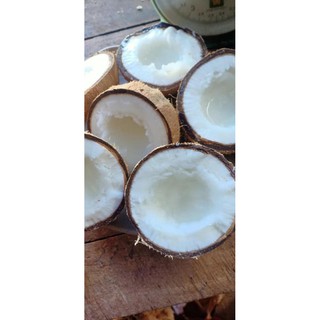 Dừa sáp trà vinh loại đặc biệt quả từ 1kg1