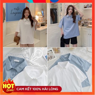Áo phông nữ có cổ, áo thun , áo polo unisex cotton dáng rộng ngắn tay, basic xinh xắn