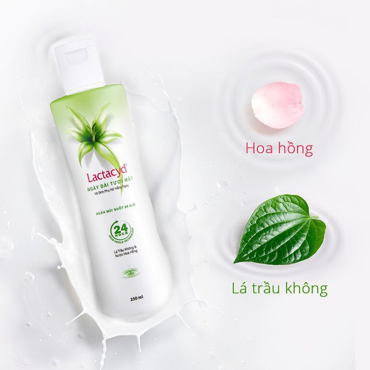 ✅[ CHÍNH HÃNG ]Dung dịch vệ sinh phụ nữ Lactacyd lá trầu không 250ml