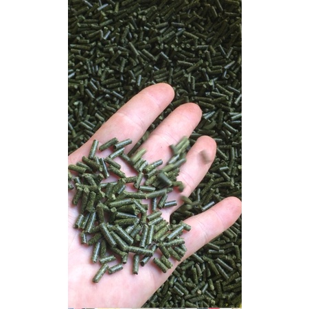 cỏ viên alfalfa cỏ linh lăng gói 1kg nhập khẩu mỹ chất lượng cao