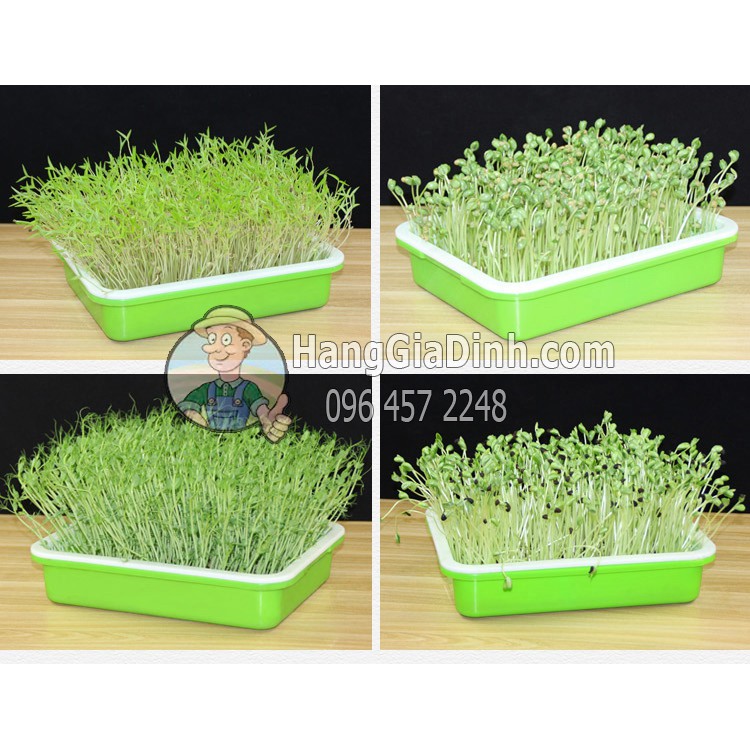 Bộ kệ trồng rau mầm cỏ lúa mì 4 tầng + 4 khay  2 lớp có bánh xe