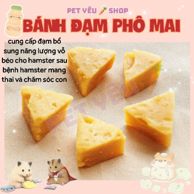 Bánh đạm phô mai Nhật(hủ 15Gr)FREESHIP thức ăn hamster, nhím