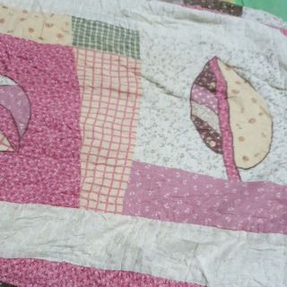 Áo gối Kienem