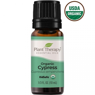 Plant Therapy - Tinh dầu cây bách Cypress