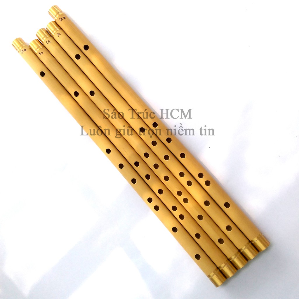 SÁO TRÚC C5 HCM 10