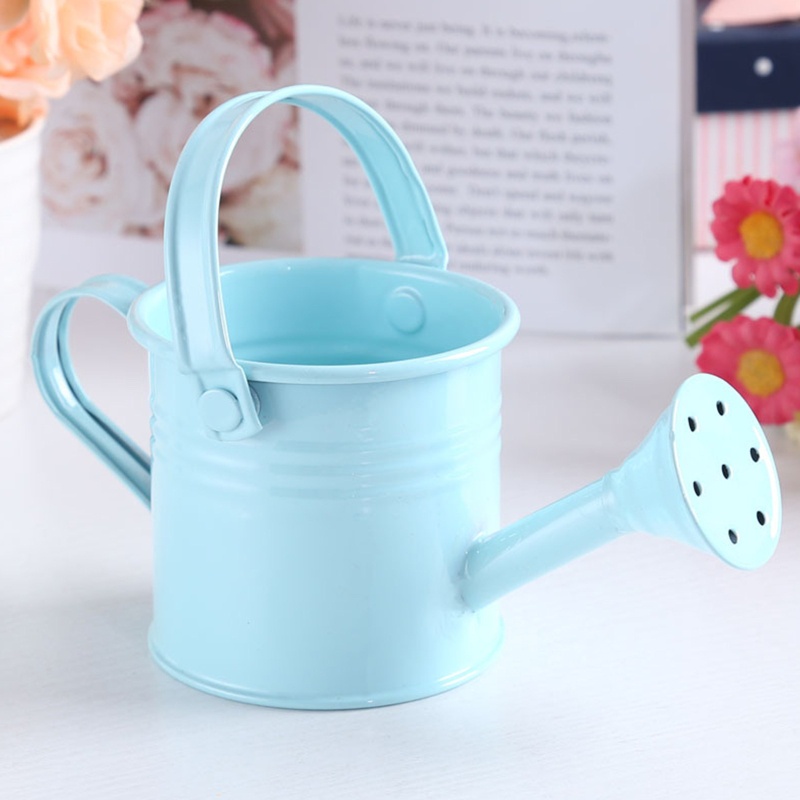 Chậu Trồng Cây Mini Bằng Kim Loại Màu Sắc Ngọt Ngào Có Tay Cầm Tiện Dụng