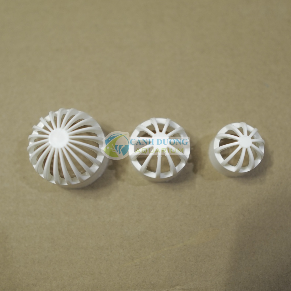 Nắp thoát cho ống U-PVC Phi 32-25-20 chuyên dùng cho hồ cá