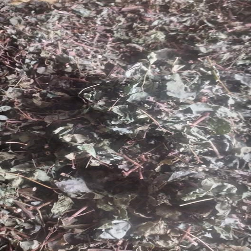 Chè Dây Rừng 1kg