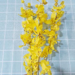 Hoa lan vũ nữ vàng lụa cao cấp hoa giả