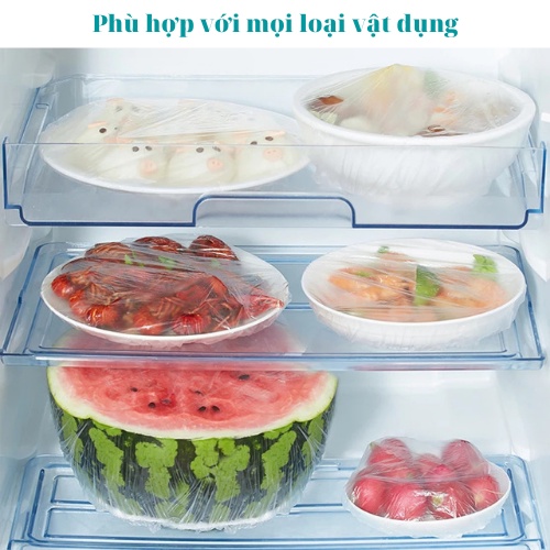 Màng bọc thực phẩm có chun co giãn siêu dai Hàn Quốc - set màng bọc hình túi gấu