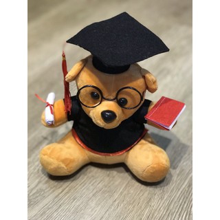 Gấu bông tốt nghiệp 20cm lông mịn- màu nâu  giá rẻ kho TPHCM