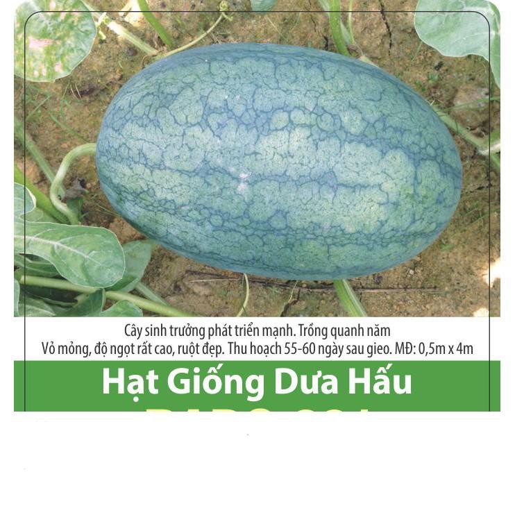 Hạt Giống Dưa Hấu Sai Trái 0.1gr