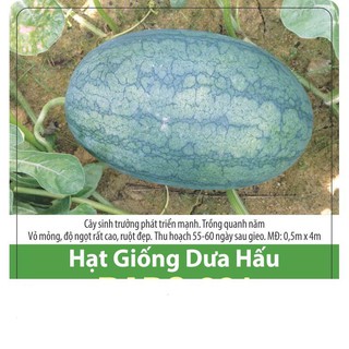 Hạt Giống Dưa Hấu Sai Trái 0.1gr