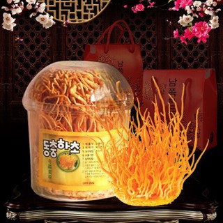 Bông đông trùng hạ thảo Hàn Quốc