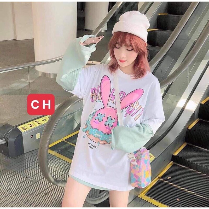 Áo phông thỏ RABIT CH12