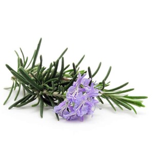 Trà hương thảo Đức 50g