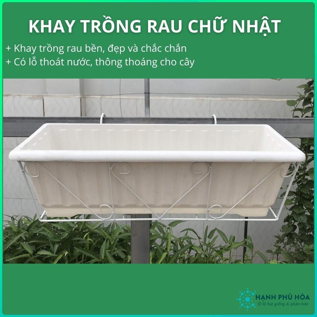 Khay Nhựa Trắng Chữ Nhật 64x22x19cm- Trồng Rau Mầm, Rau Xà Lách, Rau Gia Vị - Nhẹ, Bền, Đa Năng, Có Lỗ Thoát Nước