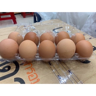 [QUẬN 5] TRỨNG GÀ VỊT TƯƠI VỈ 10