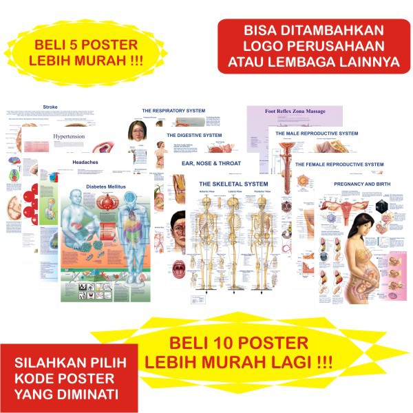 Poster Treo Tường Trang Trí In Hình Mellitus Diabetes