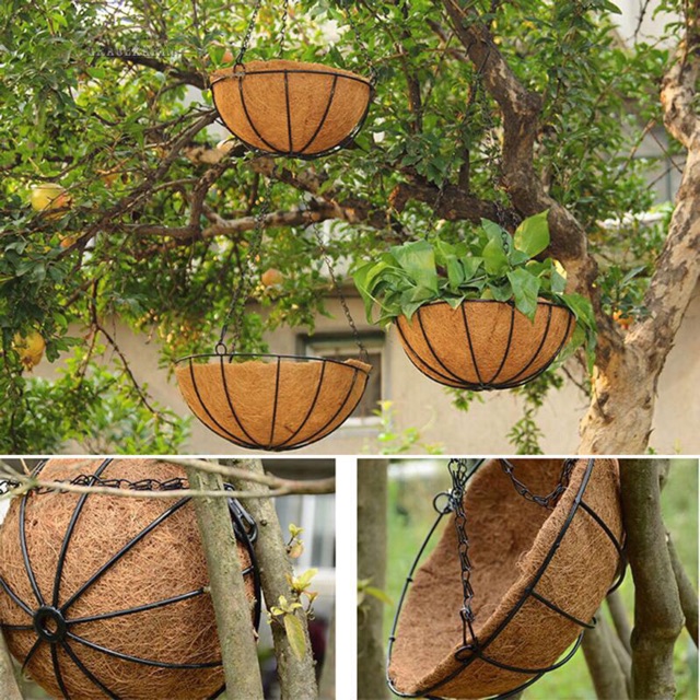 Bán Chậu xơ dừa, chậu treo xơ dừa, chậu xích treo (fi:30x30) - Coir pots, coir hanging pots, hanging chain pots (fi: 30x