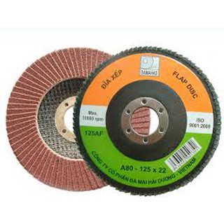 Nhám xếp Hải Dương A40 và A60