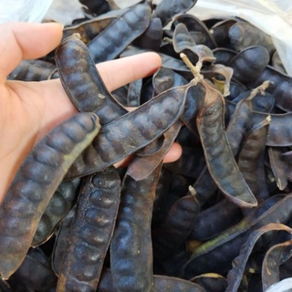 BỒ KẾT KHÔ