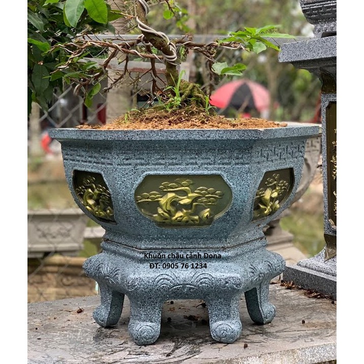 Khuôn Chậu Cảnh ABS Lục Giác 45 Thân bầu mẫu Cây Tùng, Cao 22 Cm