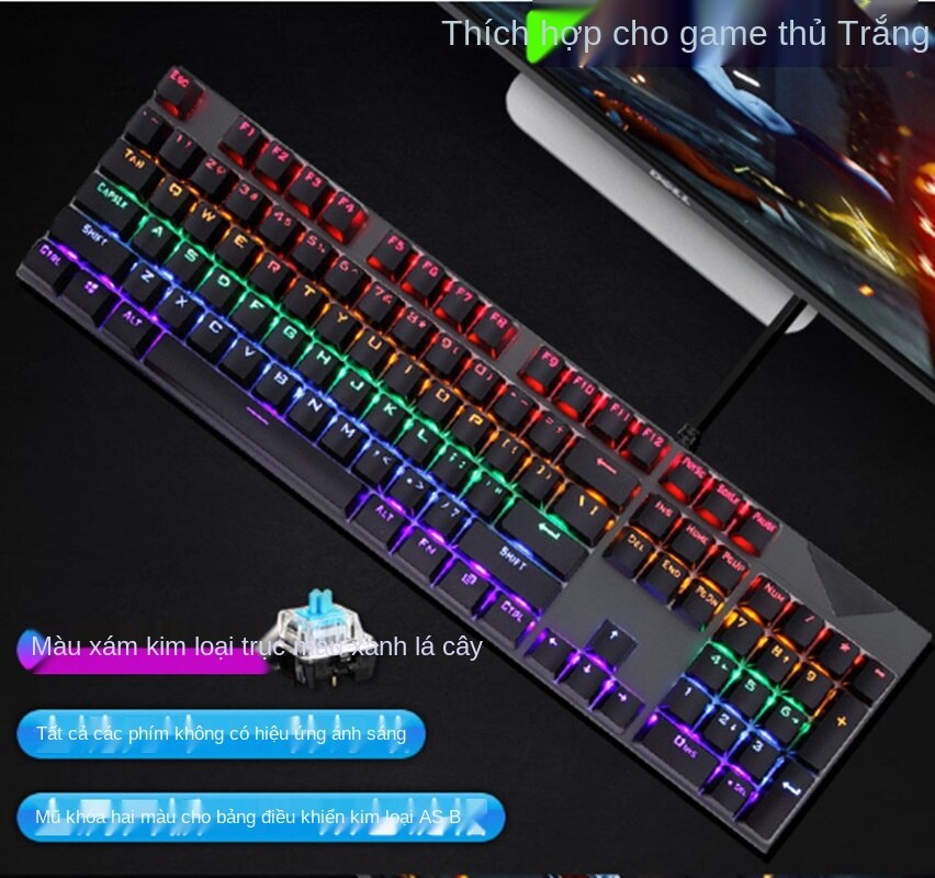 PM Bàn Phím Cơ Máy Tính Chơi Game H650 Có 10 Chế Độ Led RGB Khác Nhau Chiến Mọi Tựa Game Trên PC Như Pubg, LOL