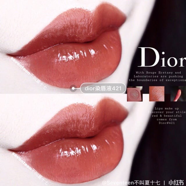 Son Dior Addict Lip Tattoo 421