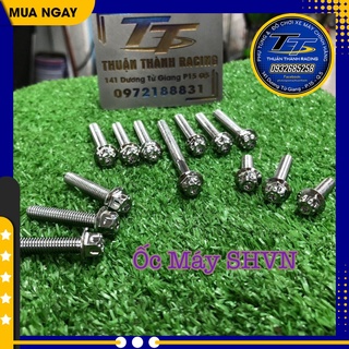 Ốc máy Salada SHVN