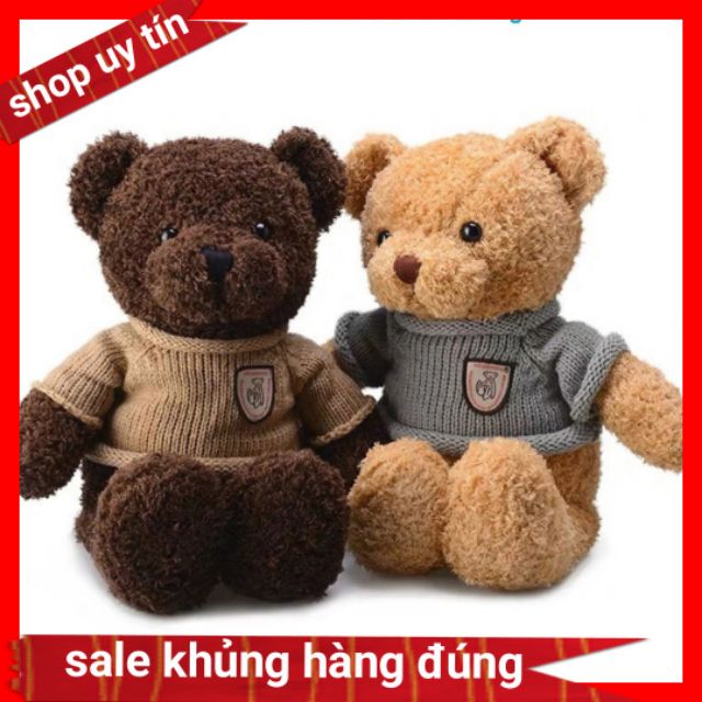 Gấu bông Teddy mặc áo len