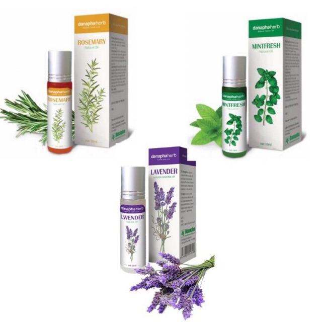 Dầu gió lăn 3 mùi Danaphar