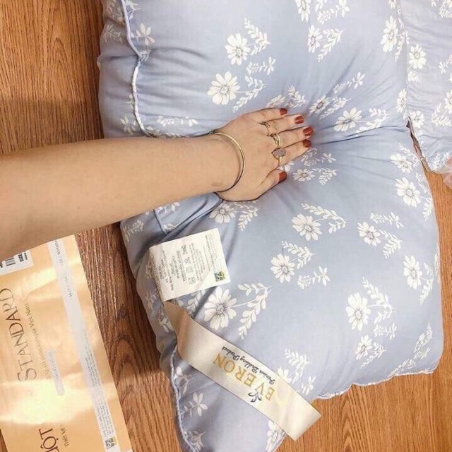 Đôi ruột gối ép hơi eve