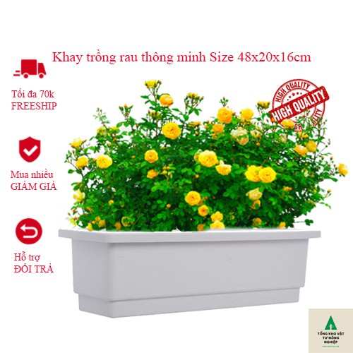 Khay trồng rau thông minh CCN01 Size 48x20x16cm hàng nhựa không tái chế
