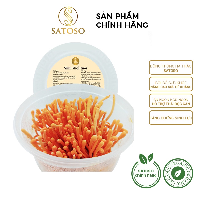 Combo 5 đế đông trùng hạ thảo đế sinh khối tươi thượng hạng ( Tặng 01 đế ) SATOSO SA016