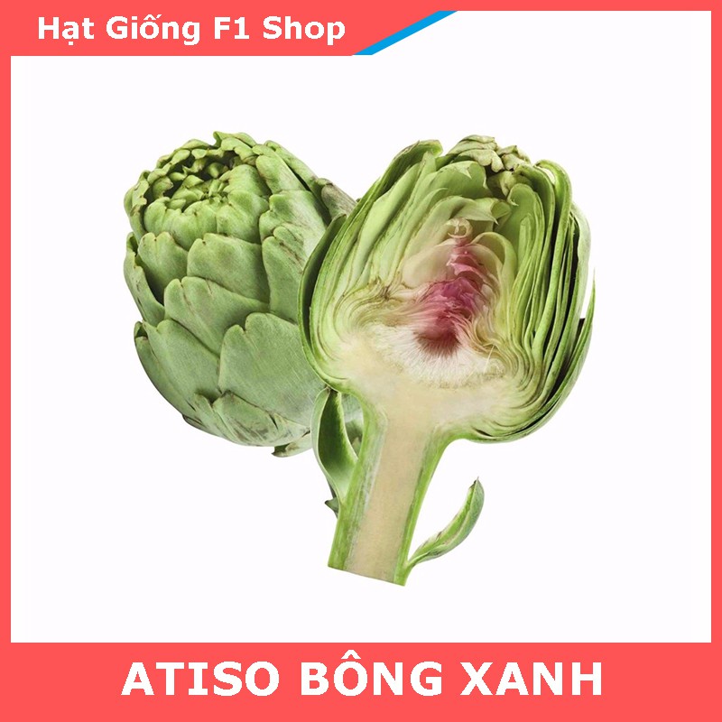 Hạt Giống Atiso Đà Lạt Bông Xanh Bổ Dưỡng