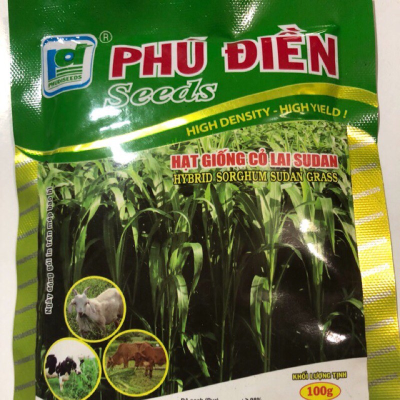Hạt giống cỏ lai Sudan- gói 10 gam