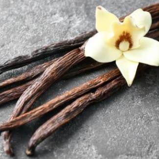 Nước Hoa Nam ETENER ROYAL 100ML Chính Hãng Hộp Sang Trọng - Hương thơm Nam tính Cuốn hút Sang trọng Tinh tế