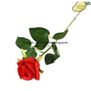 Hoa hồng phụ kiện chụp ảnh