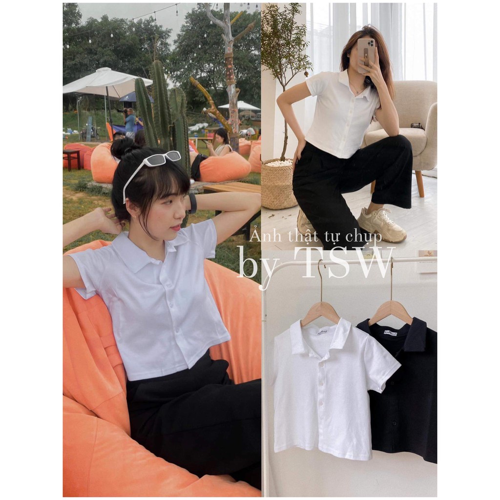 Áo thun polo croptop cài cúc (Ảnh thật)