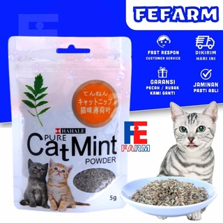Image of Catnip catmint cat mint - PURE CATMINT POWDER - BIKIN FLY KUCING FEFARM