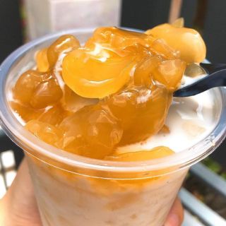 THỐT NỐT RIM