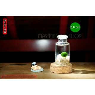 Marimo size 0.8cm
